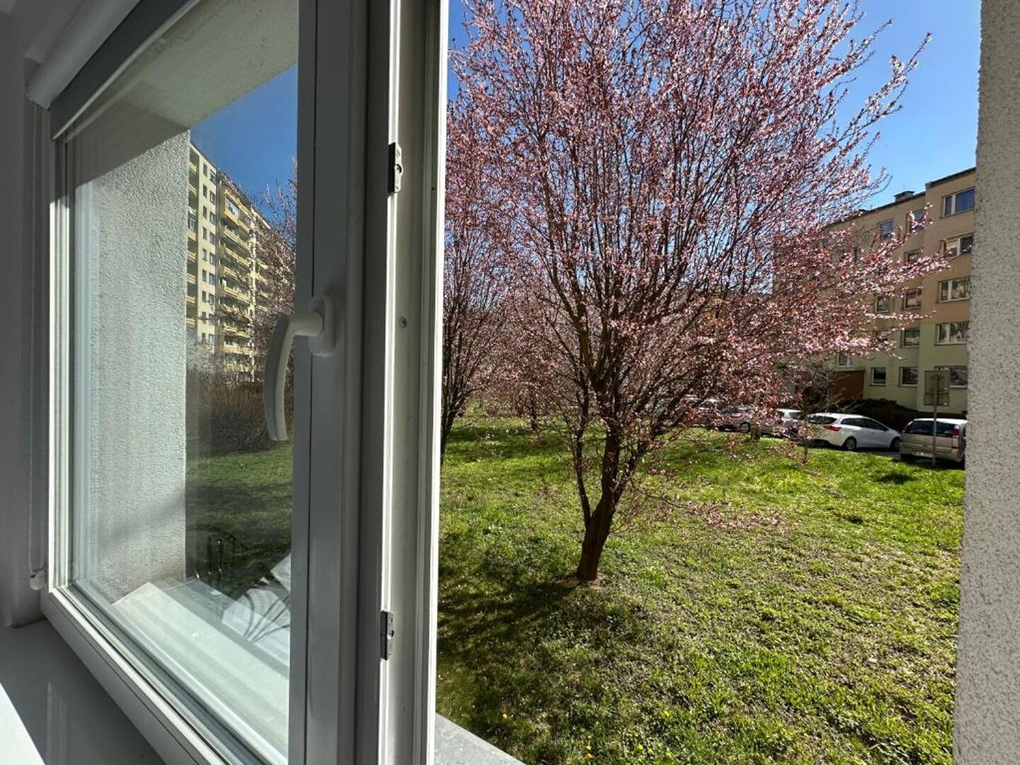 RGB Kamil Stawiarski - 24