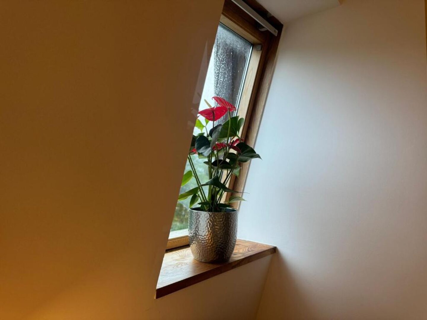 RGB Kamil Stawiarski - 13